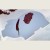 Duza_deska_do_serwowania_w_ksztalcie_swinki_40x25cm.jpg