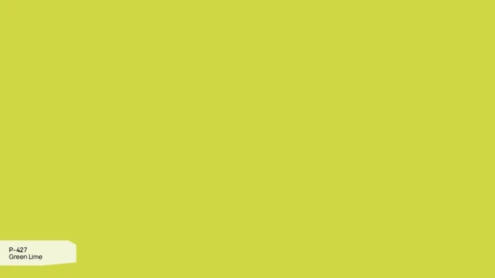 P-427-Green-Lime-2.jpg
