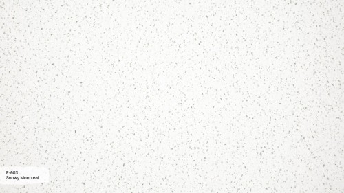 E-603-Snowy-Montreal-3.jpg