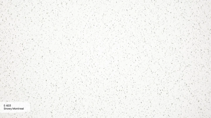 E-603-Snowy-Montreal-3.jpg